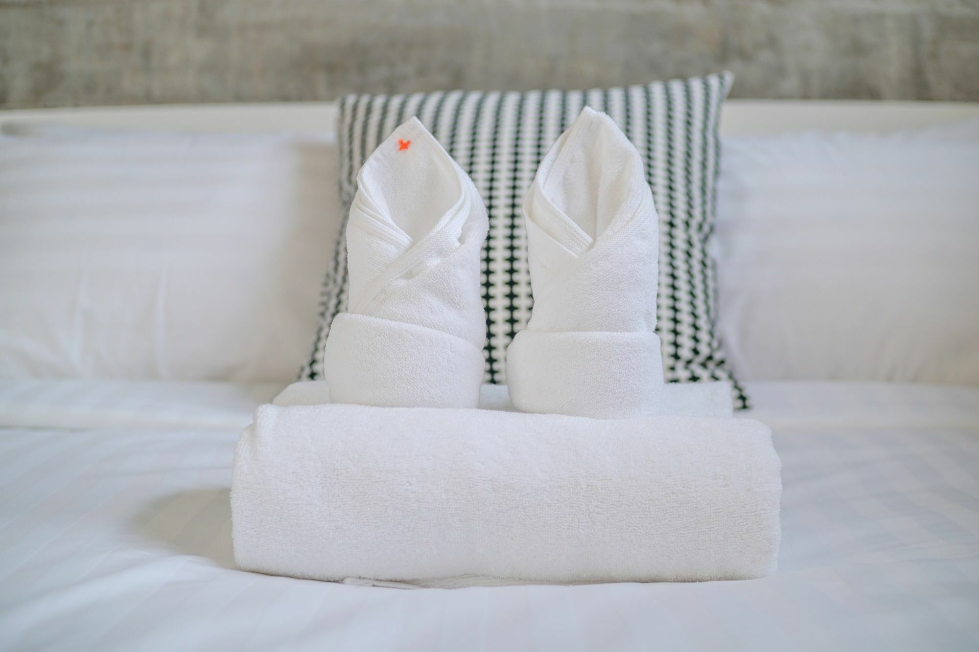 Zen Hostel Chiangmai Chiang Mai Dış mekan fotoğraf
